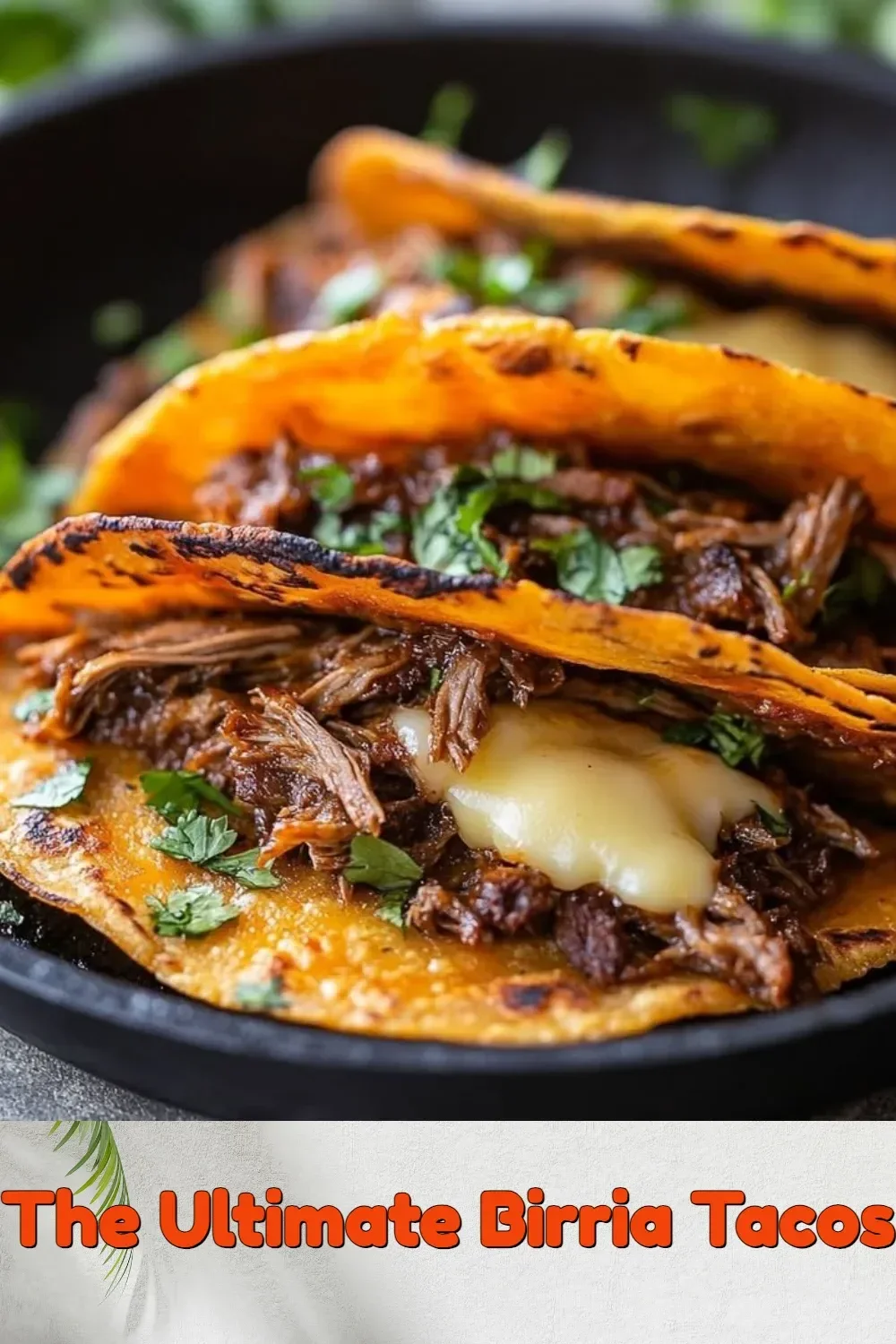 Delicious birria tacos served with consomé
