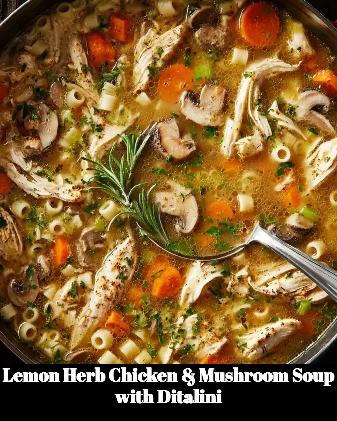 Lemon Herb Chicken & Mushroom Soup with Ditalini in a bowl garnished with herbs