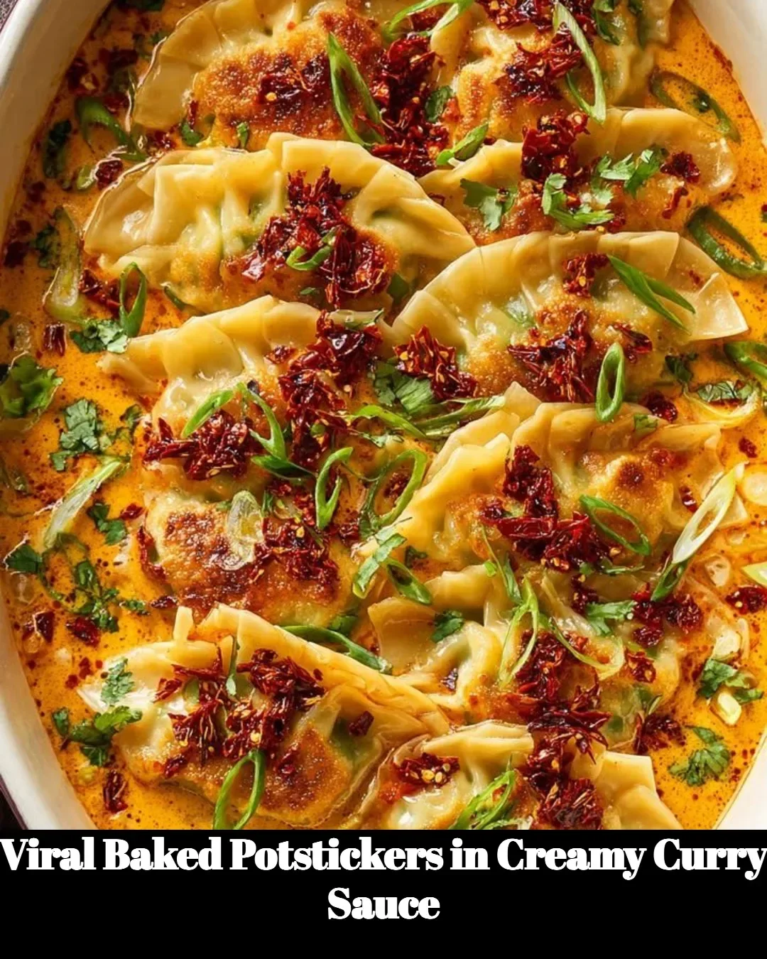 Viral baked potstickers served in creamy curry sauce on a plate