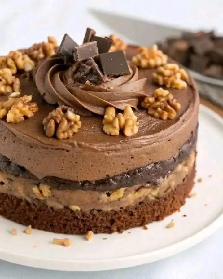 Deliciously baked Chocolate Walnut Cake with nuts and chocolate glaze