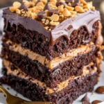 Delicious chocolate peanut butter cake topped with creamy frosting