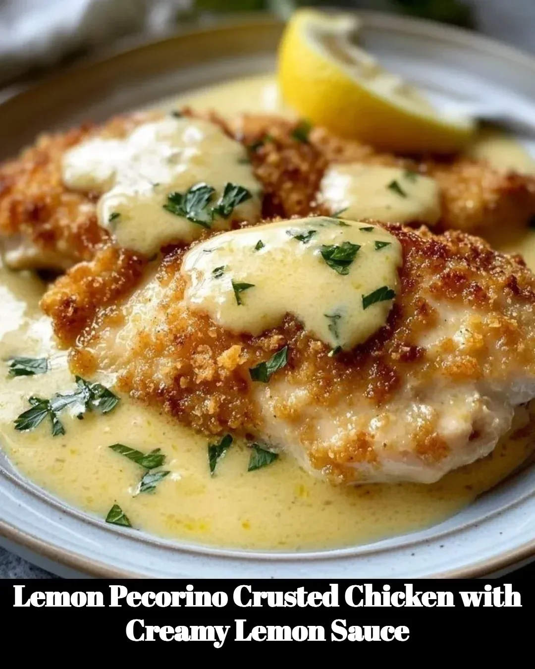 Lemon Pecorino Crusted Chicken with Creamy Lemon Sauce on a plate