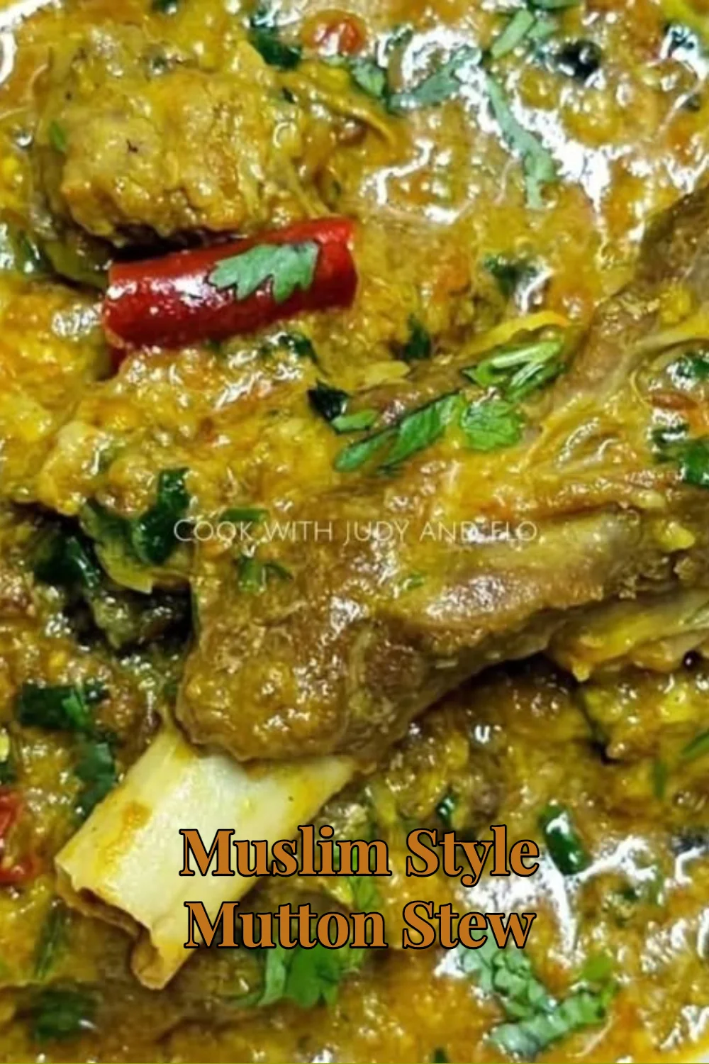 Delicious Muslim style mutton stew garnished with fresh herbs and spices.