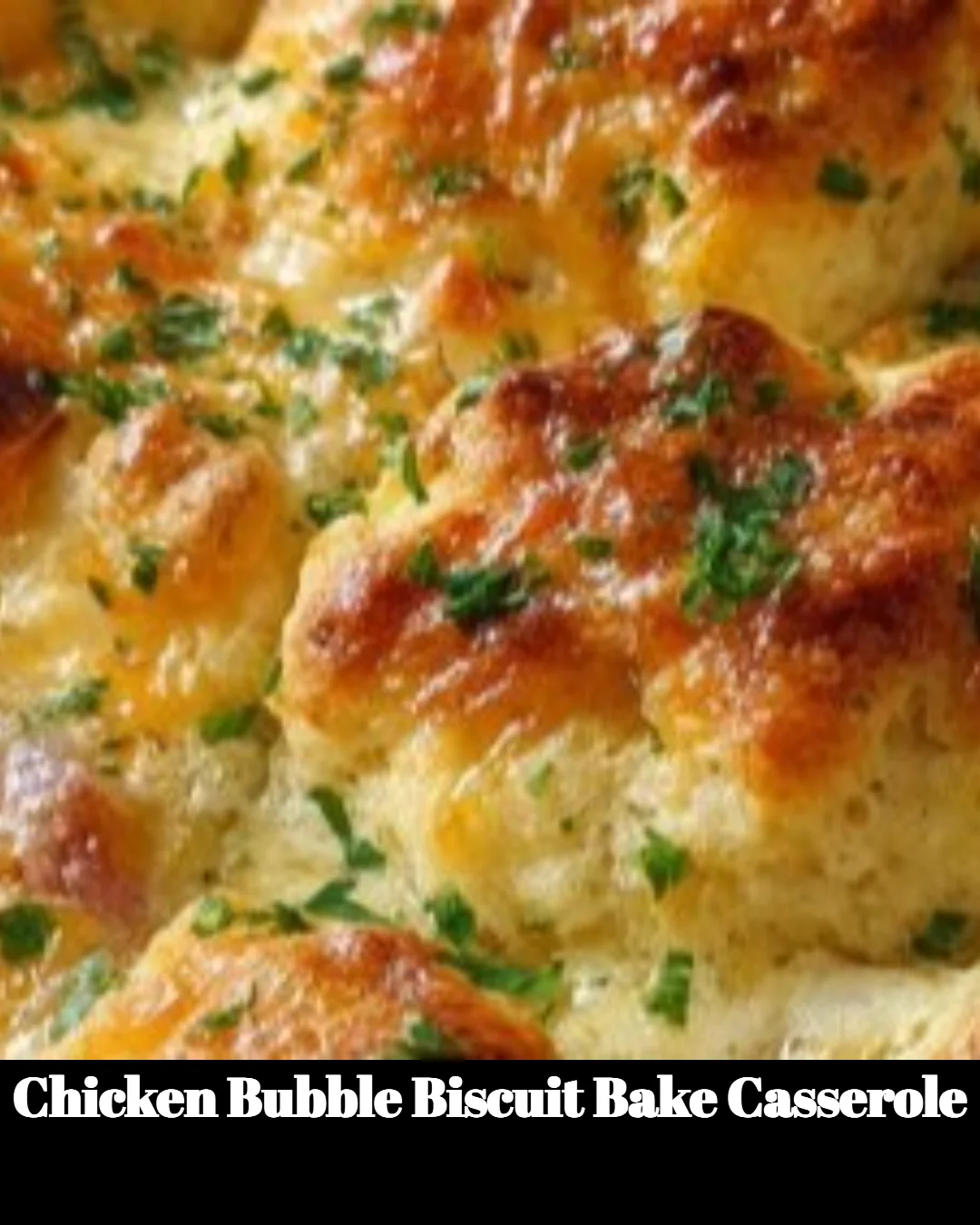 Delicious Chicken Biscuit Bake casserole topped with golden biscuits