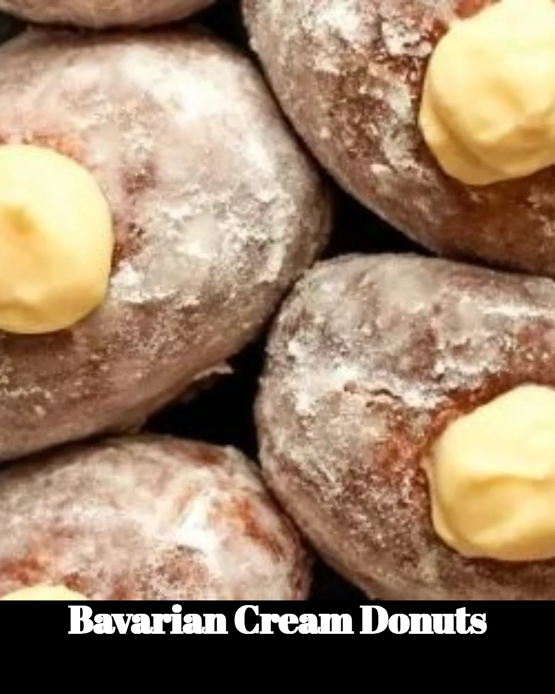 Freshly made Bavarian Cream Donuts with cream filling and sugar topping