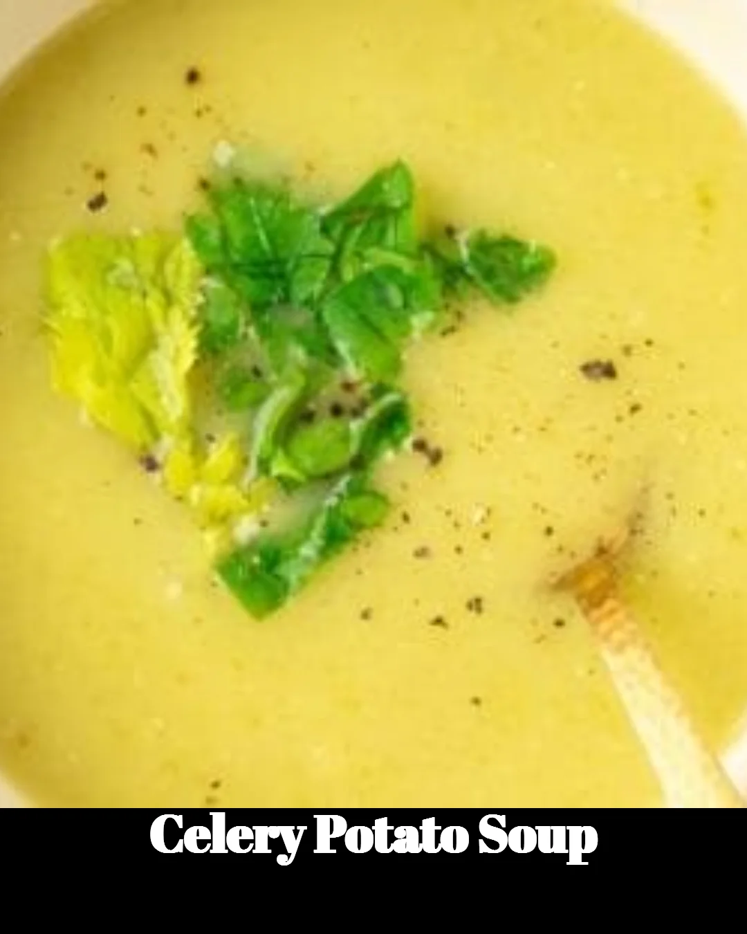 Bowl of homemade Celery Potato Soup garnished with fresh herbs