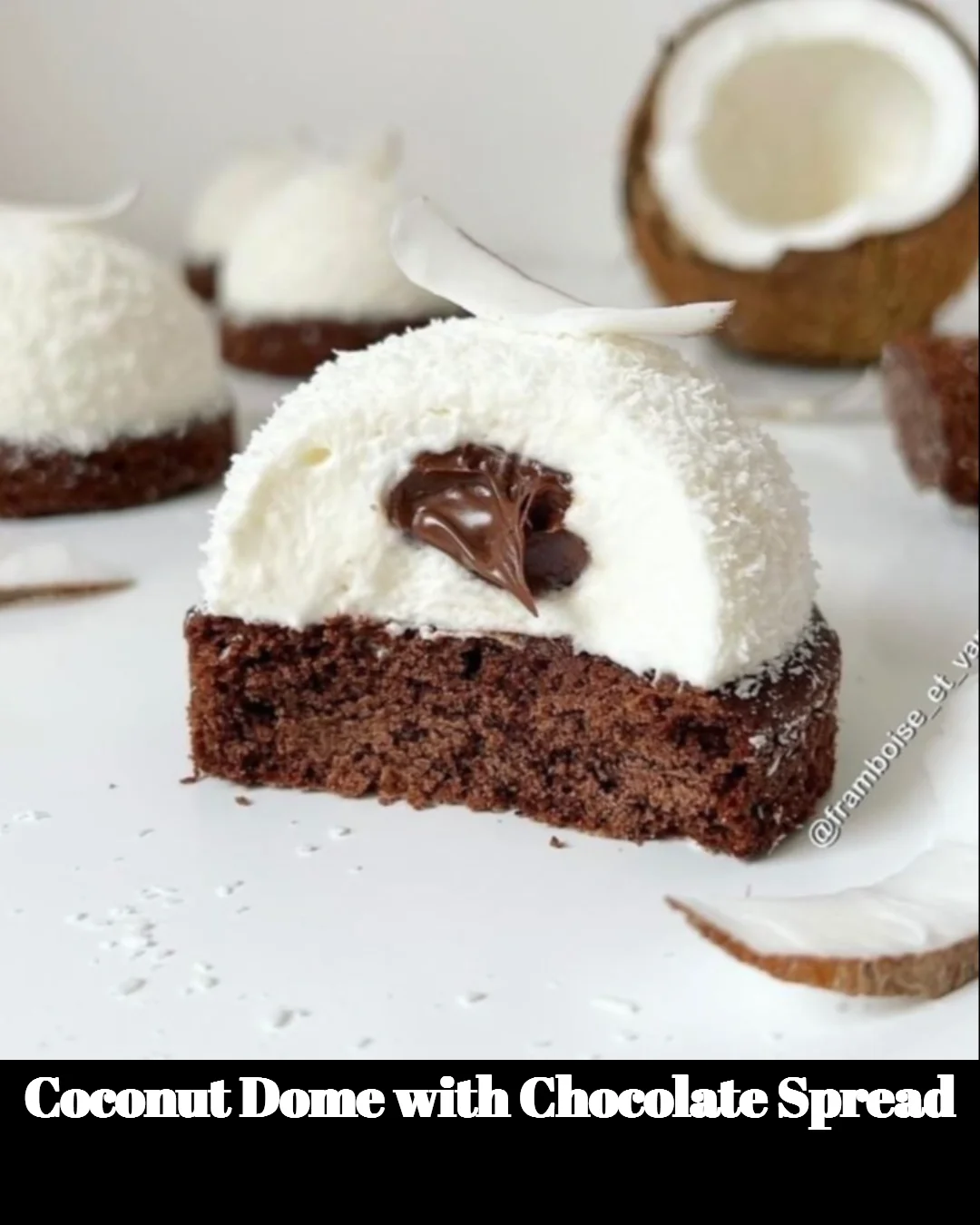 Coconut Dome dessert topped with rich chocolate spread on a decorative plate.