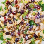 Cranberry Pecan Chicken Salad topped with poppy seed dressing in a bowl