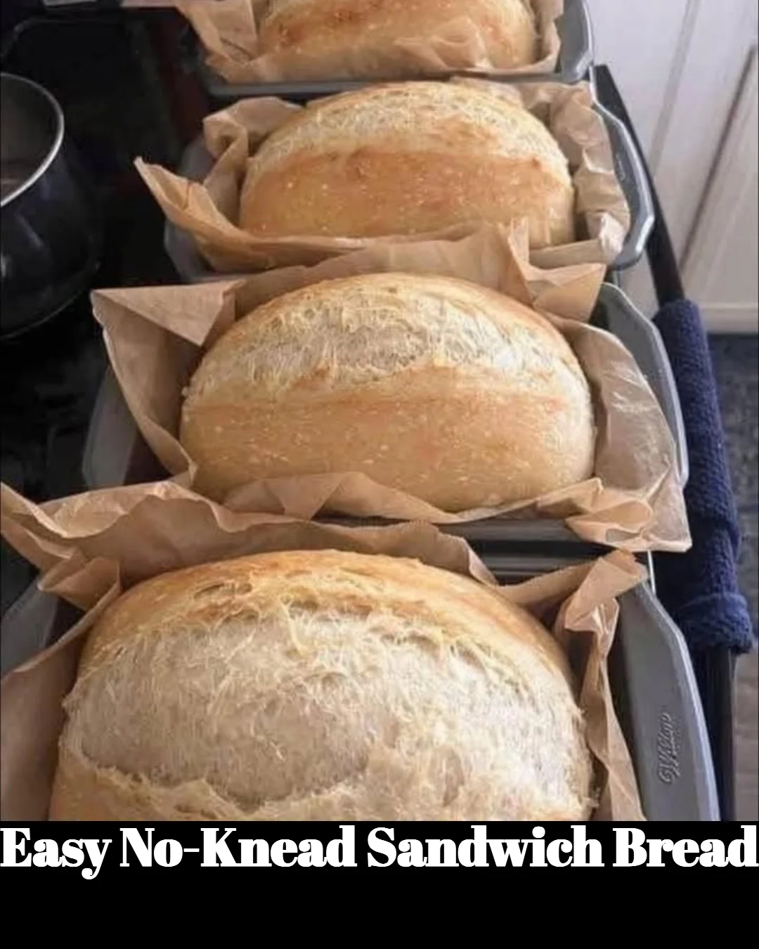 Freshly baked easy no-knead sandwich bread sliced and ready to serve.