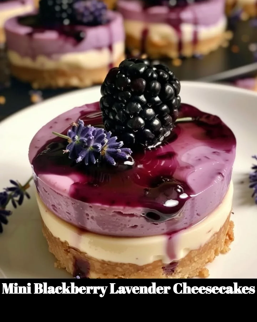 Mini blackberry lavender cheesecakes topped with fresh blackberries and lavender sprigs.