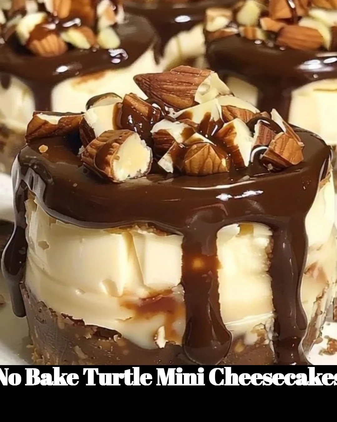 No Bake Turtle Mini Cheesecakes with chocolate and caramel drizzle
