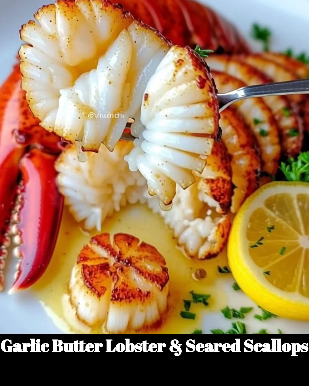 Plate of garlic butter lobster and seared scallops garnished with herbs