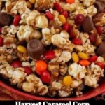 Delicious Harvest Caramel Corn snack in a decorative bowl