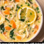 Bowl of refreshing Lemon Chicken Orzo Soup with Spinach garnished with herbs