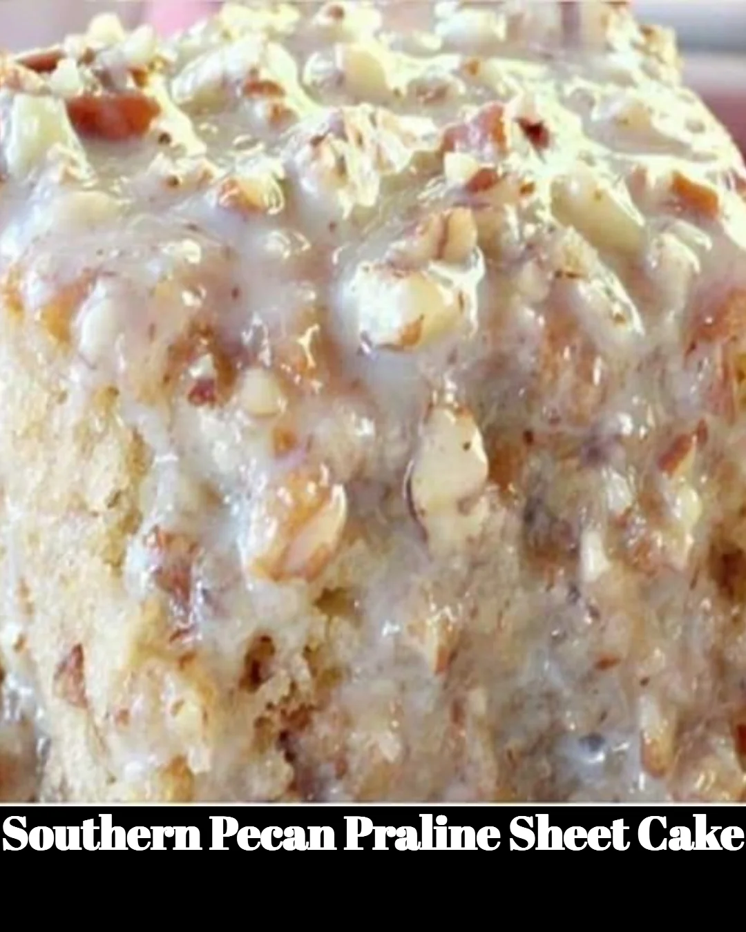 Delicious Southern Pecan Praline Sheet Cake topped with pecans and praline glaze