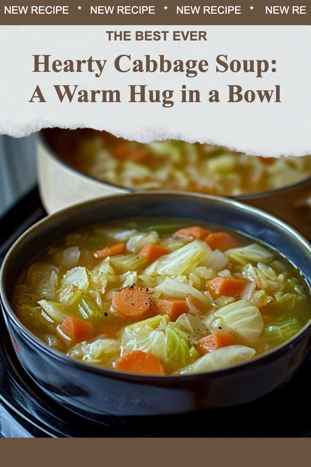 Bowl of hearty cabbage soup filled with vegetables and herbs