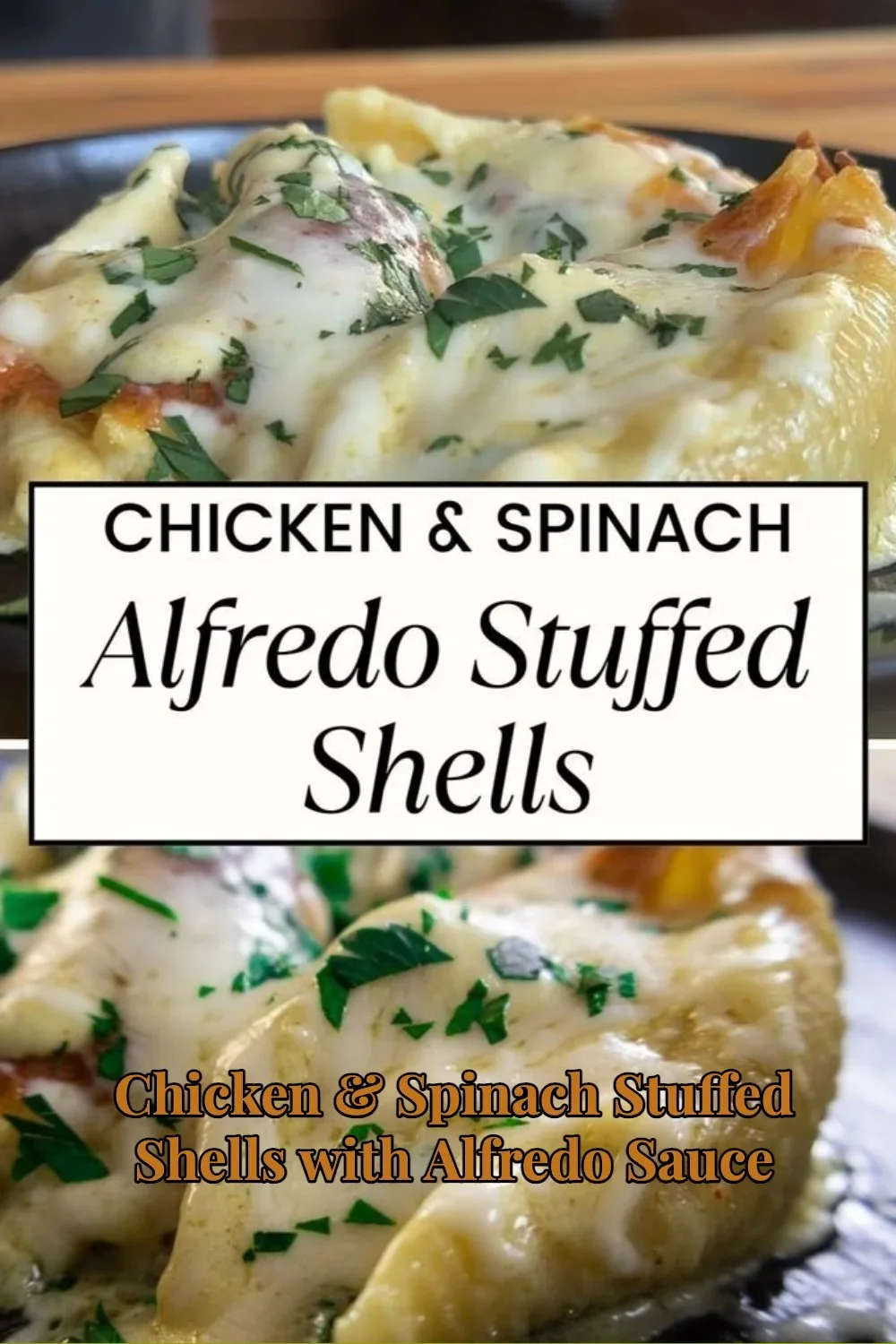 Chicken and Spinach Stuffed Pasta Shells with Alfredo Sauce